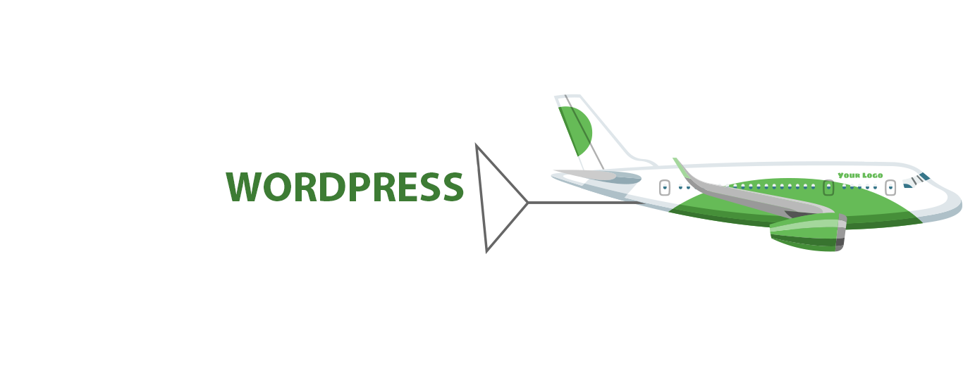 Plane displaying WordPress